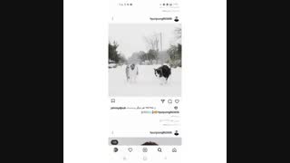 پست های جدید دابل اس ۵۰۱ در اینستاگرام