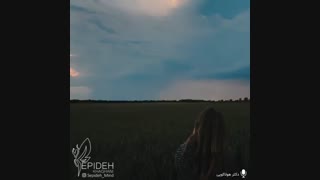 دکتر هلاکویی