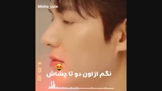 میکس لی مین هو ([کپشن