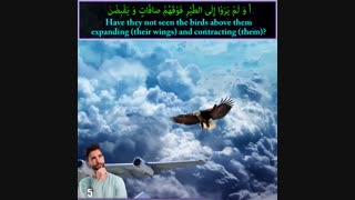 طراحی هواپیما با الگو برداری از عقاب