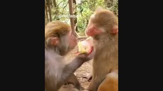 یادته یا نه.....XD