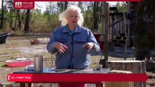 آموزش نکات مهم در مورد پرورش مرغ بومی