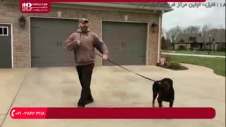 آشنایی با چند اصل مهم  در مورد پارس کردن سگ ها:\