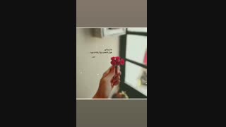 استوری های اینستاگرامی صبا نوروزی