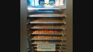 دستگاه خشک کن انگور ۰۹۱۹۸۱۹۰۹۸۹انگور خشک کن