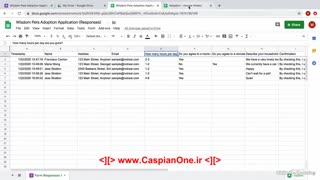 13 - View your data with filters and charts