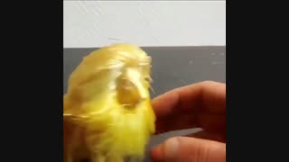 3dprinting(برنا نوآوران پویا)Borna Noavaran Pouya