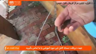 آموزش درمان بیماری سفیدک در ماهی های زینتی