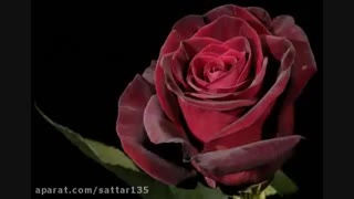 تقدیم به یکی که همه دنیای منه...