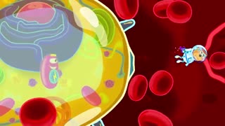 کارتون خانواده شیر _ داستان درباره حرفه ها