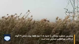 هورالعظیم، میزبان پهناور اما در معرض خطر