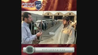 بهترین کنسانتره را برای دامتان خریداری کنید