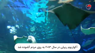 آکواریوم ریپلی در تورنتو