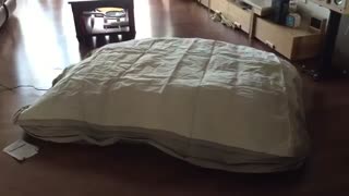 تخت بادی با پمپ برقی