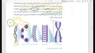 فام تن (کروموزوم) ، گفتار۱ ،فصل۶