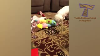 75 opening christmas present