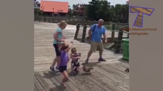 Which of these CLUMSY ANIMALS is the FUNNIEST? 80