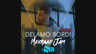 دانلود ریمیکس جدید مهراد جم به نام دلمو بردی  +دیجی رضی ریمیکس