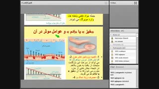 زیست 19 بهمن