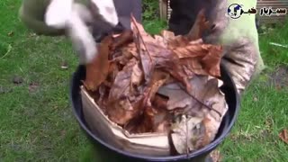 ۵ روش استفاده از برگ‌های پاییزی