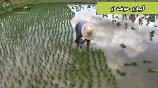 آبیاری گیاهان