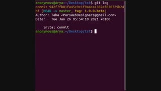 برنچ در گیت ۱