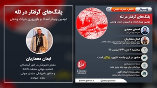 سخنان دکتر ایمان معماریان در وبینار پلنگ‌های گرفتار در تله اکستنشن تاج دندان