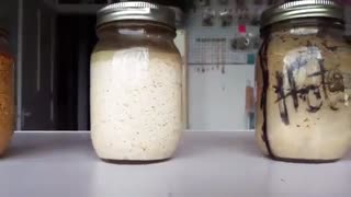 اثر کلمات و افکار بر ماده - آزمایش برنج