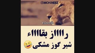 راز بقا .طنز⁦<(￣︶￣)>⁩