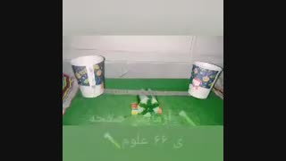 آزمایش علوم