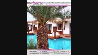 دکتر سعید قریشی لیزر مو