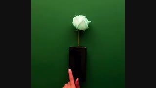 خرید اینترنتی گل