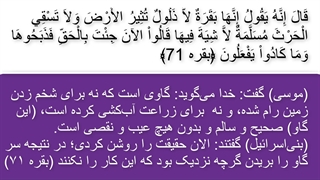 سریال حضرت موسی قسمت 37