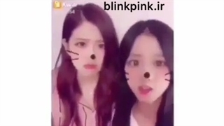 دابسمش کیوته رزی و جیسو