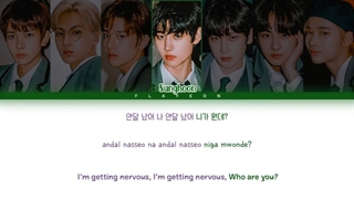 [ENHYPEN - Boy In Luv (original BTS) [ColorCodedLyric