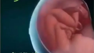 نحوه ی انجام آمنیوسنتز