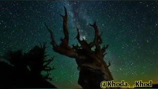 دعای معجزه گر