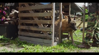 سریال کره ای فانتزی و کمدی کارآگاه زامبی 2020 قسمت 01 زیرنویس فارسی