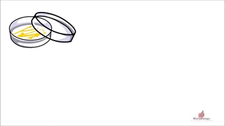 آموزش نام لوازم آزمایشگاهی - لیست لوازم آزمایشگاهی - قیمت لوازم آزمایشگاهی