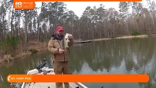 آموزش ماهیگیری _ تعقیب خار ماهی پیش از تخم ریزی