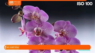 آموزش اصول عکاسی _ تفاوت عکس JPEG و RAW در دوربین عکاسی