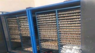 فروش دستگاه خشککن میوه و سبزی۰۹۱۹۸۱۹۰۹۸۹