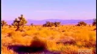 ترانه قلندر،امید