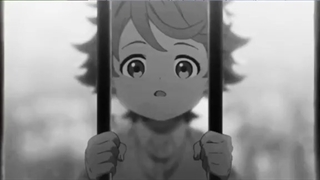 amv the promised neverland