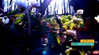 نماهنگ زیبا((هزار ارزو))از محسن چاووشی.