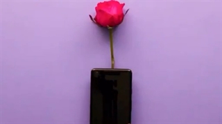 ارسال گل به ایران