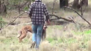 دوبله part l لایک یادتون نره