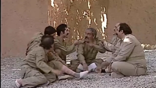 شب های برره 8