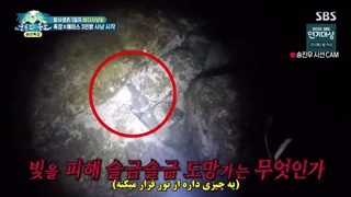 قسمت 431 برنامه Laws of the jungle با زیرنویس فارسی چسبیده