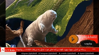 موجودی عجیب الخلقه!!!!!